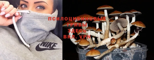 кокаин колумбия Богородицк