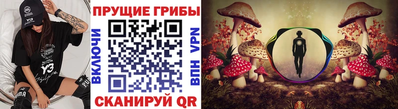 Галлюциногенные грибы мицелий  Электрогорск 