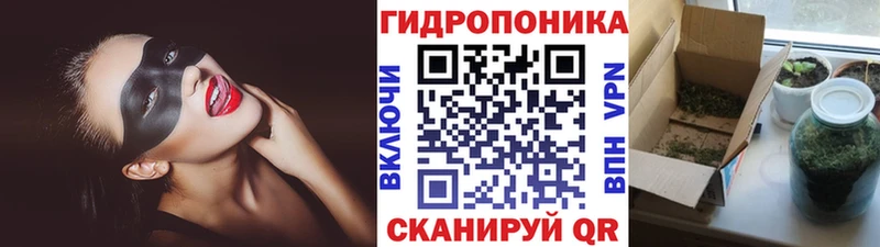 Бошки Шишки MAZAR  ссылка на мегу зеркало  Электрогорск  купить наркотики сайты 